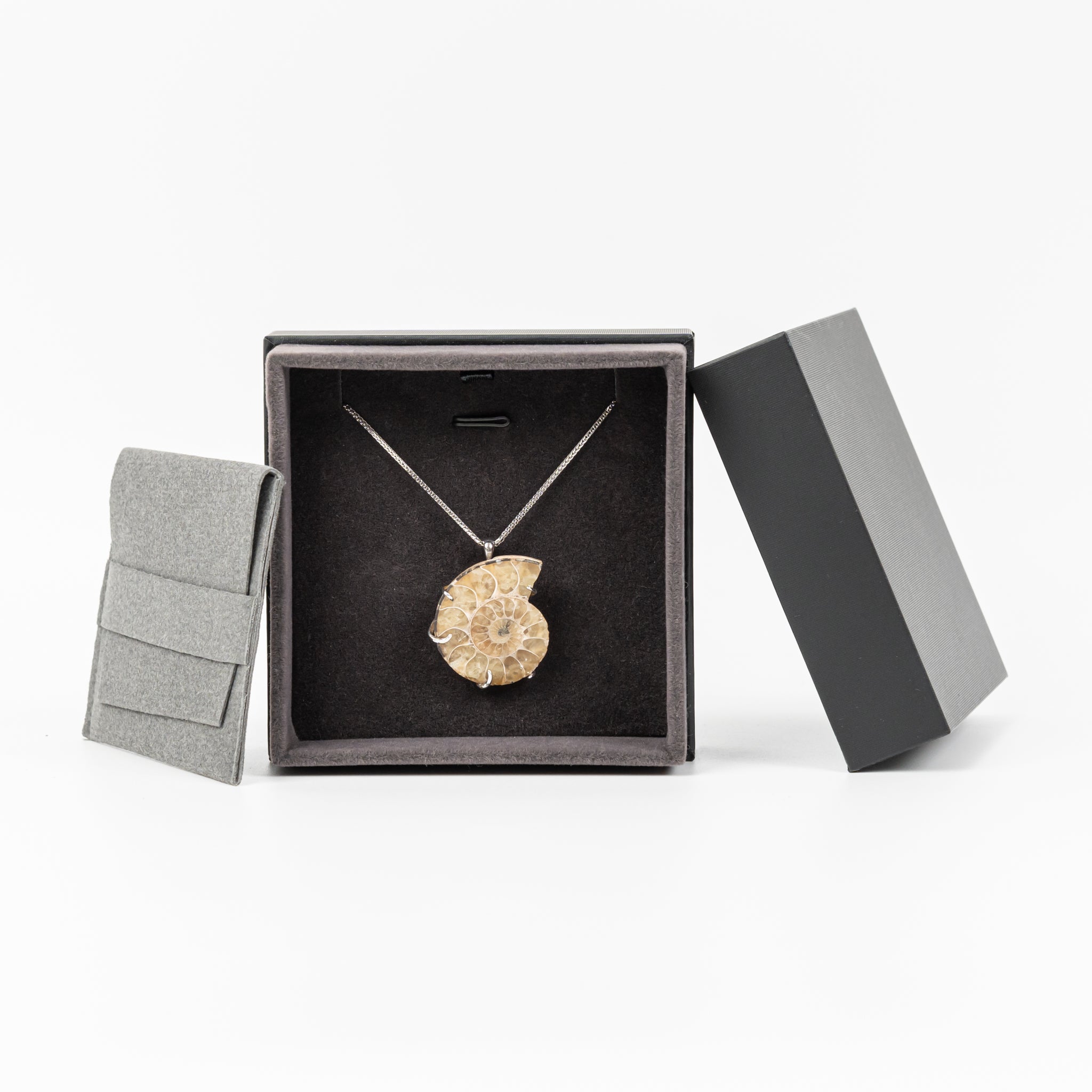 Natural Conch Fossil Necklace