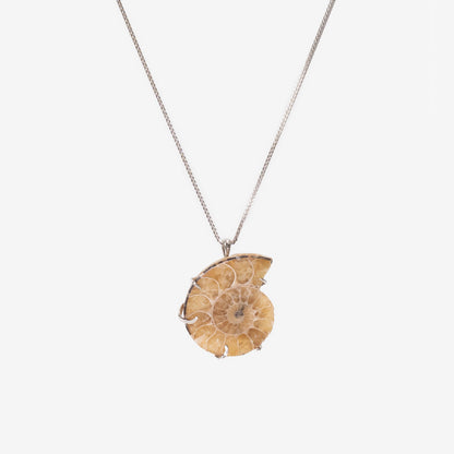 Natural Conch Fossil Necklace with organic fossil shapes, adding oceanic vibes to daily styling.