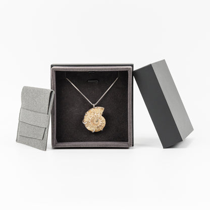 Natural Conch Fossil Necklace